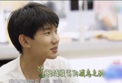 王源吃瓜娱乐完整版,全程精彩瞬间回顾