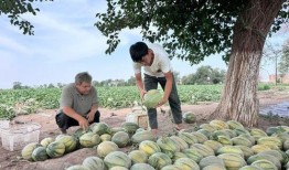 吃瓜娱乐园,娱乐圈幕后故事大公开