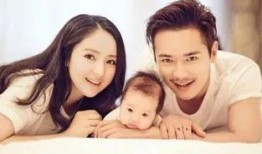 娱乐吃瓜第二天,揭秘幕后真相，明星动态大揭秘