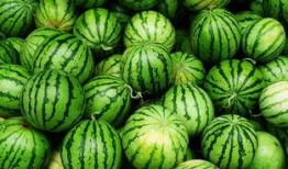 娱乐小葱花吃瓜视频下载,揭秘娱乐圈幕后故事