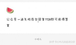 吃瓜爆料娱乐圈文字,揭秘明星背后的故事