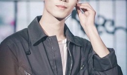 娱乐圈吃瓜明星代号肖战,娱乐圈神秘吃瓜明星的崛起之路