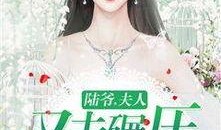 娱乐吃瓜君名媛是谁啊小说,名媛背后的神秘故事